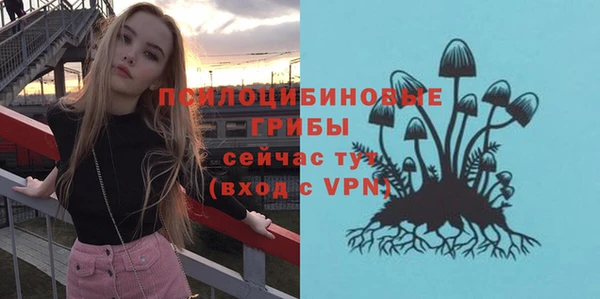 крисы Вязники