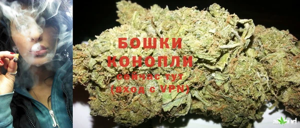 крисы Вязники